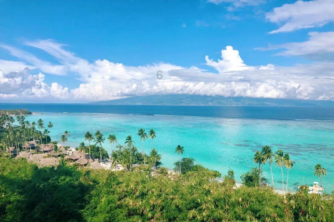 到山东哪个地方吃海鲜最好？游戏画面